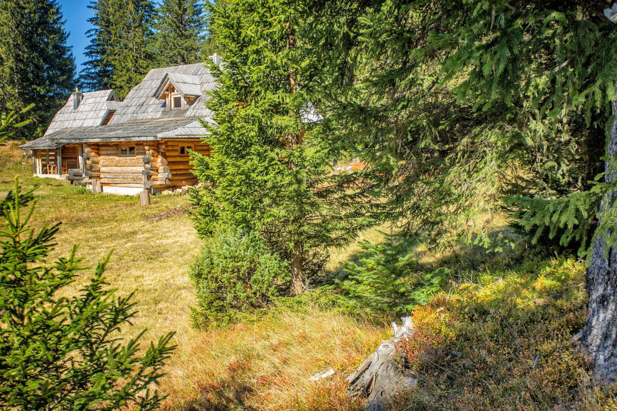 Lodge Nadgora Žabljak Exteriör bild