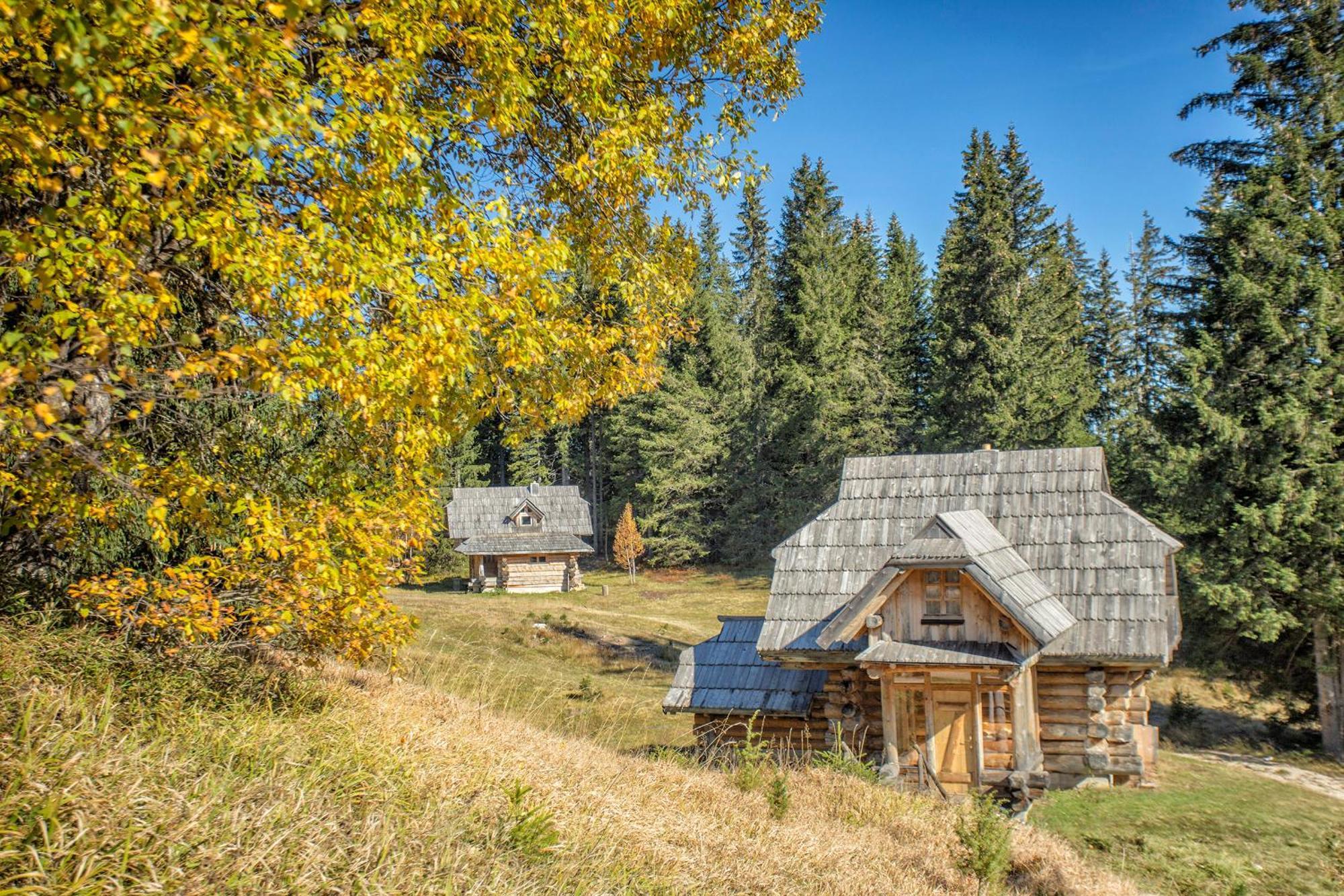 Lodge Nadgora Žabljak Exteriör bild